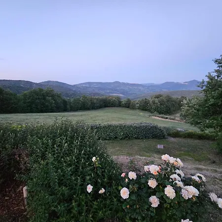 Stunning Farmhouse With A Pool -june Sale Villa *